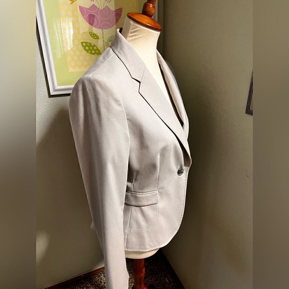 EUC Daniel Cremieux Light Gray One Button Blazer Size 8 #DJ8